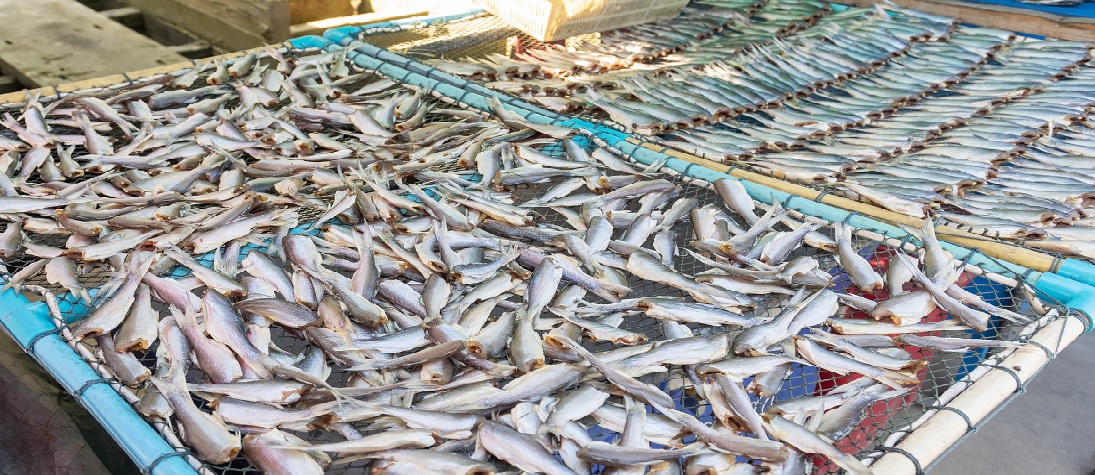 Skup ryb i produktów rybnych – lista firm